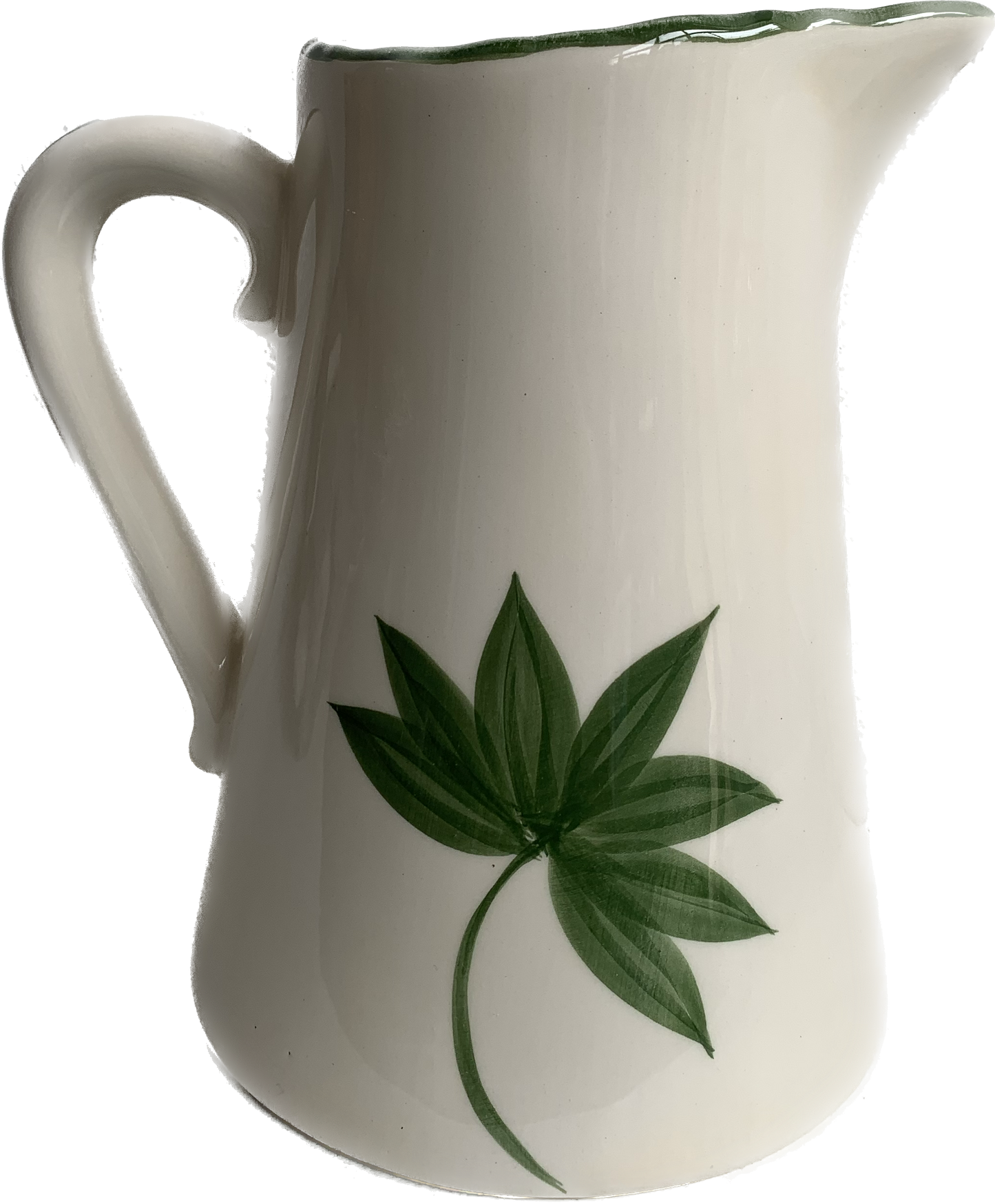 Amazonia Jug
